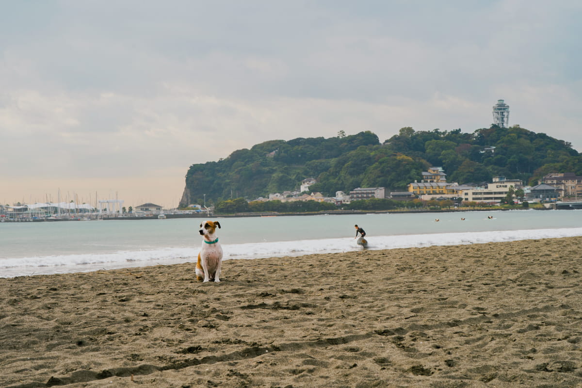 Enoshima