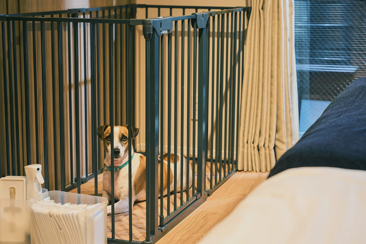 Pet Cage