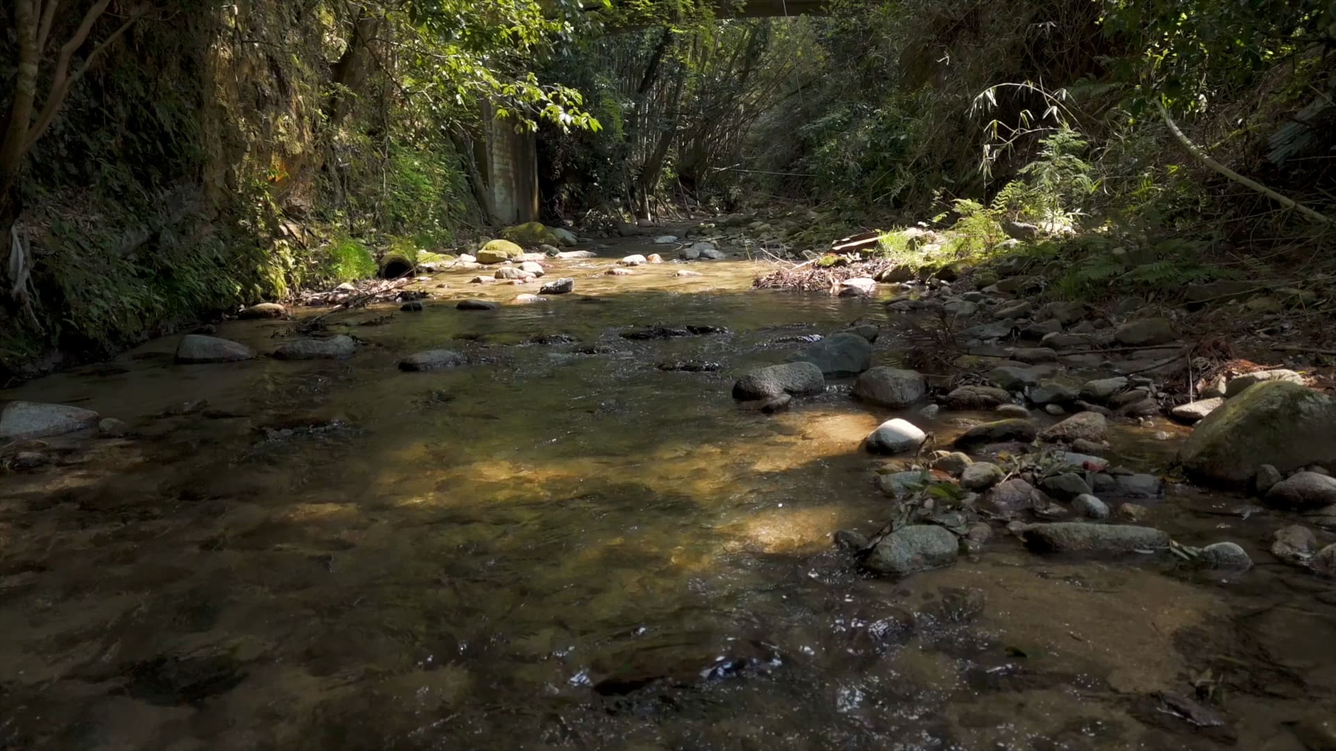 公式】IZAグランピング千早赤阪村｜プライベートサウナ付きアウトドア