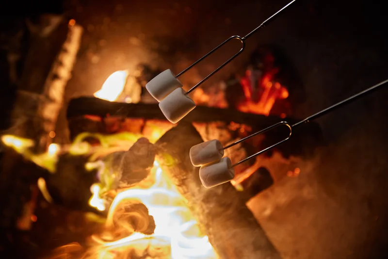 LAKE SAUNA RESORT SUITE VILLA 惺 -SHOU- BBQ・テラス